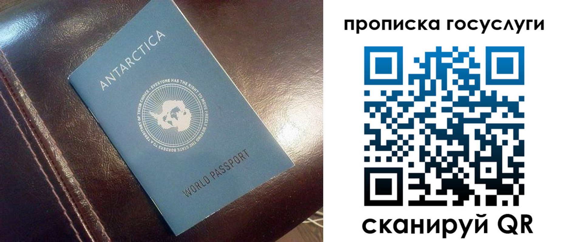 временная регистрация собственник в Волгограде