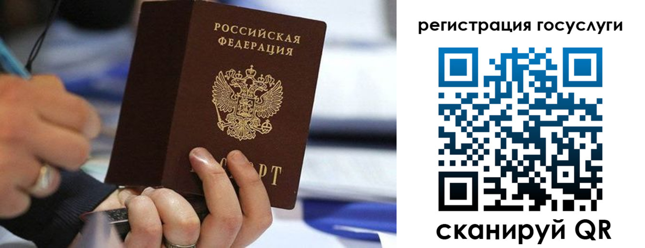 прописка для школы в Волгограде
